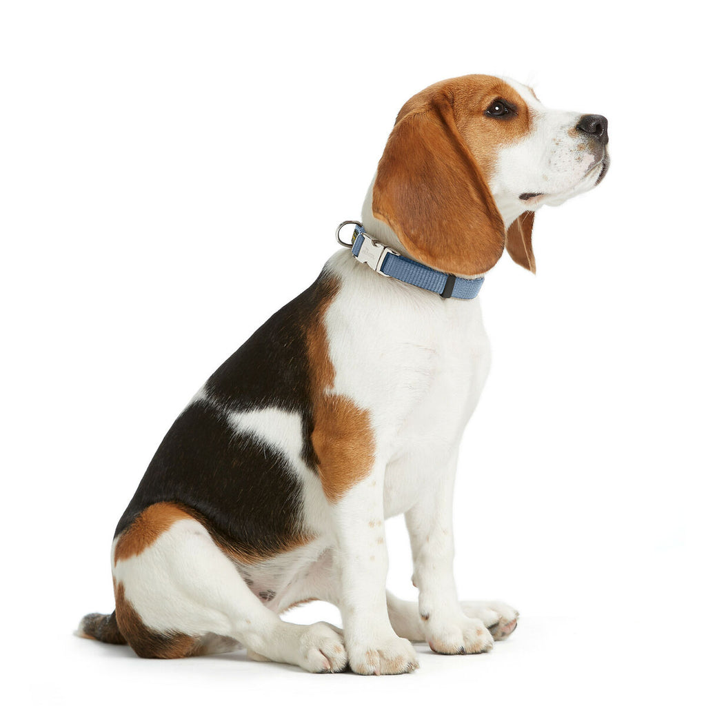 Dog collar Hunter VARIO BASIC Blue M 30-45 cm