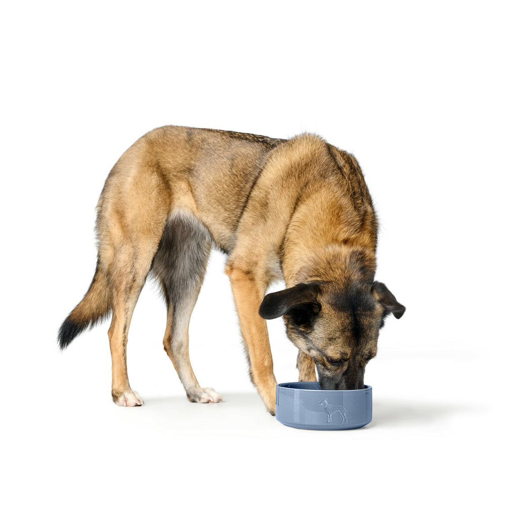 Dog Feeder Hunter OSBY Blue Ceramic 350 ml