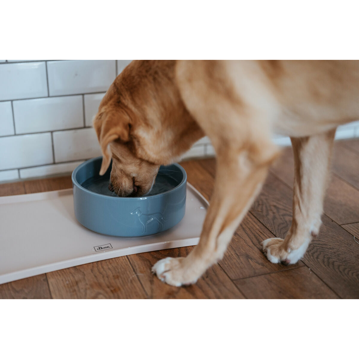 Dog Feeder Hunter OSBY Blue Ceramic 350 ml